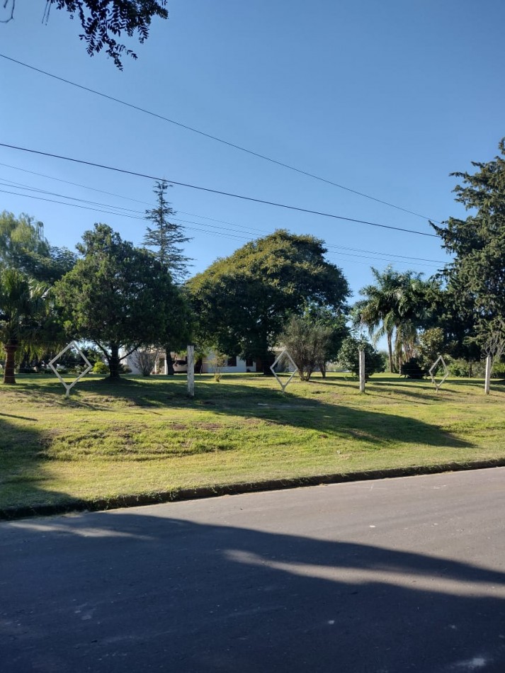 VENDEMOS LOTES Calle M. Lebensohn a 300 mts de J. Baez.
