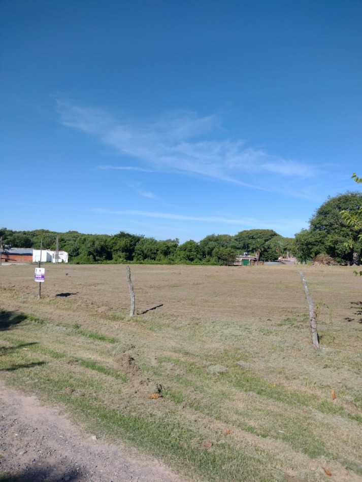 VENDEMOS LOTES Calle M. Lebensohn a 300 mts de J. Baez.